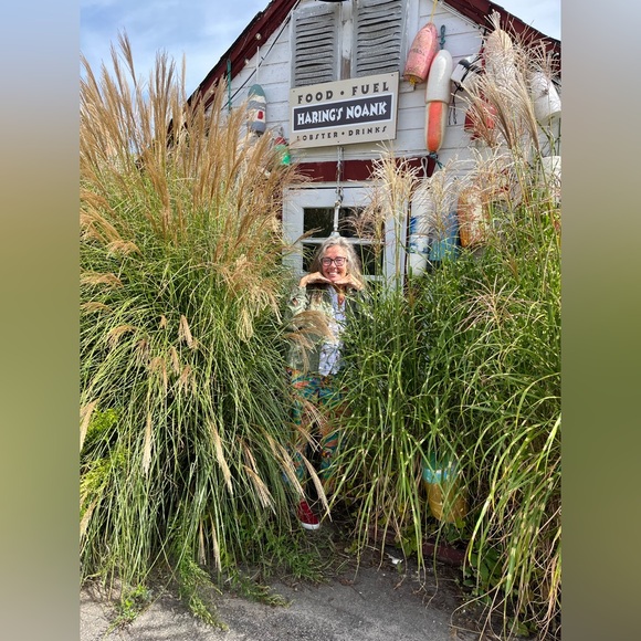 Meet your Posher, Viola - Picture 8 of 14